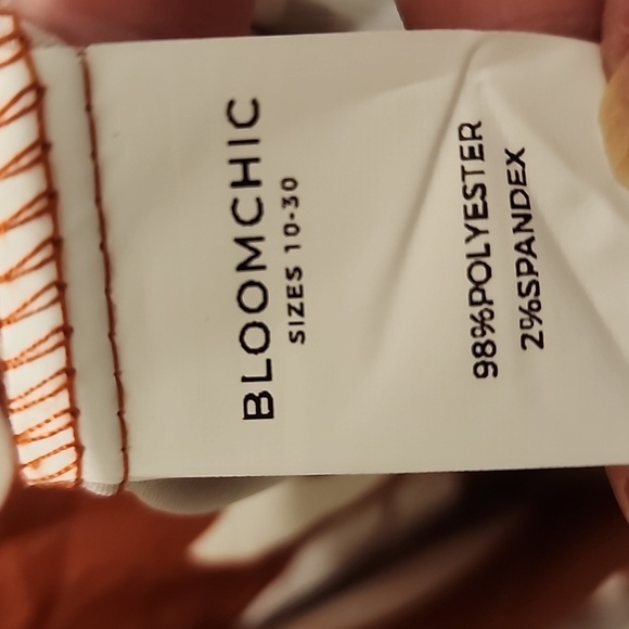 NEW Bloomchic Floral Print Tie Neck Lantern Sleeve Dress 2x - Picture 4 of 5